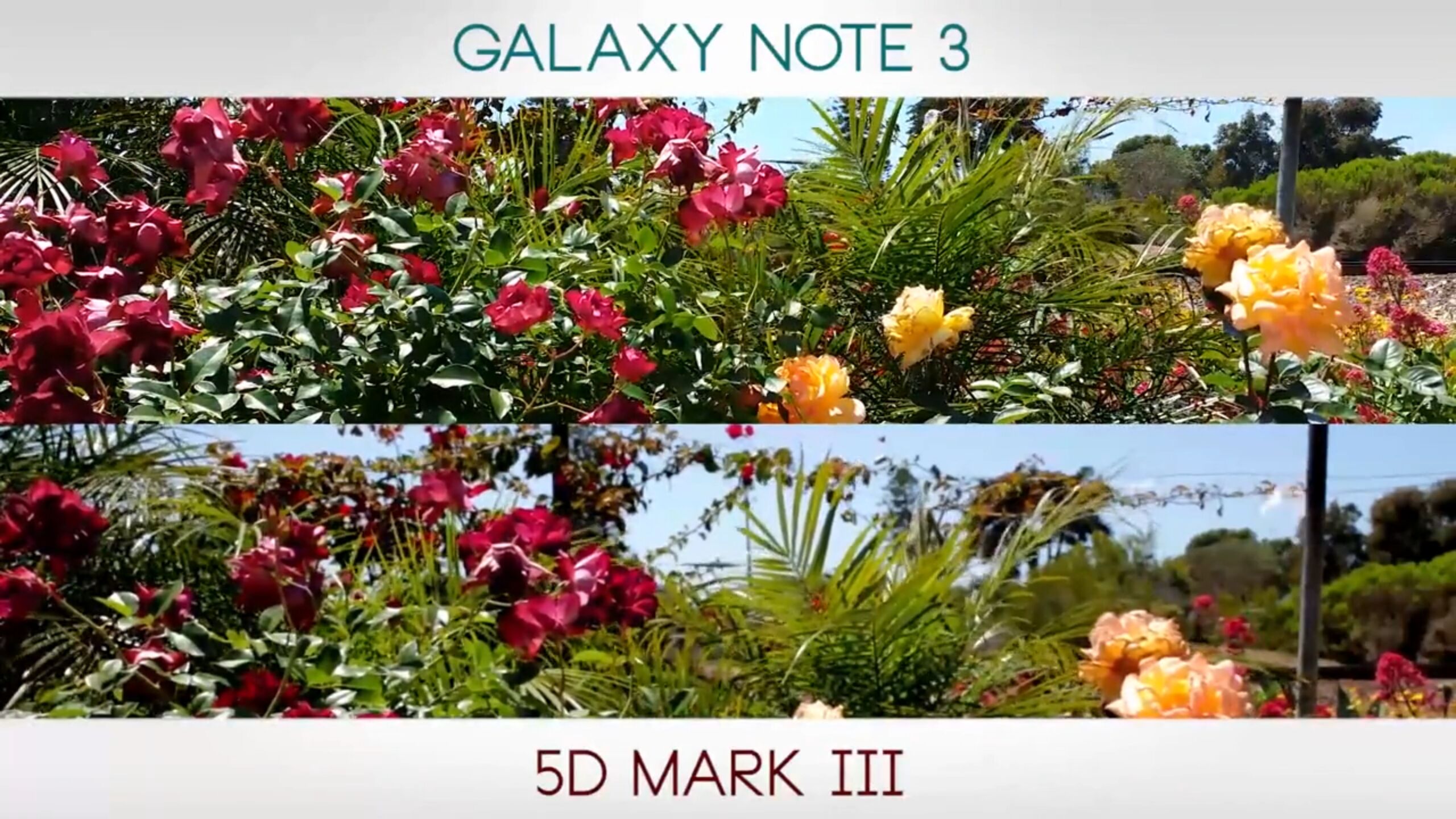 Samsung Galaxy Note 3 vs Canon 5D Mark III 41