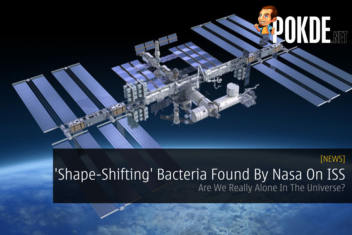 'Shape-Shifting' Bacteria Found By Nasa On ISS - Are We Really Alone In The Universe? 25