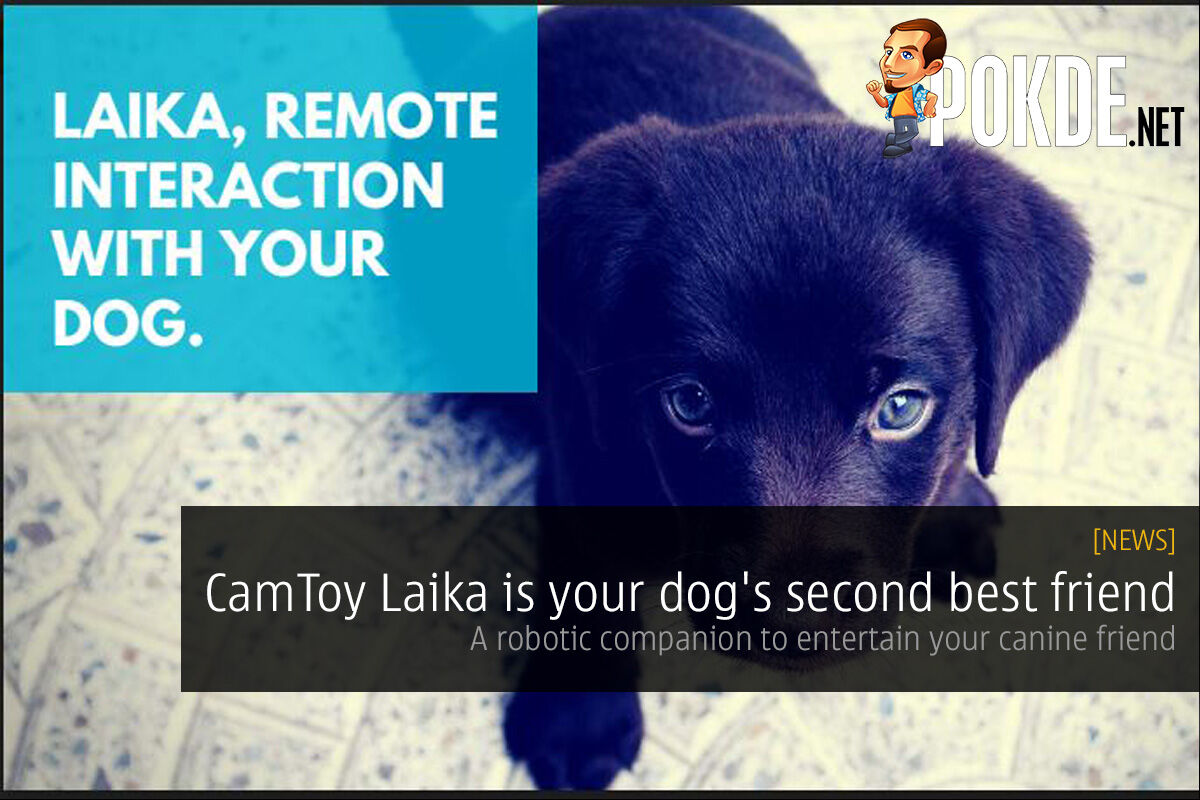CamToy Laika is your dog's second best friend — a robotic companion to entertain your canine friend 30