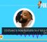 DJ Khaled Is Now Available As A Voice Option On Waze 31