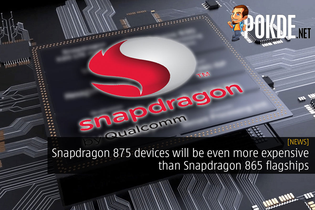 Snapdragon875 store